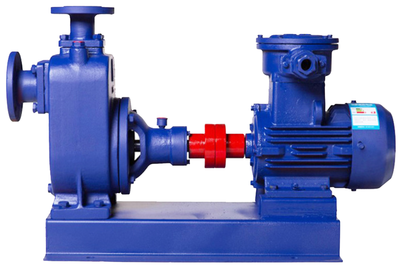 自吸好色网站在线观看