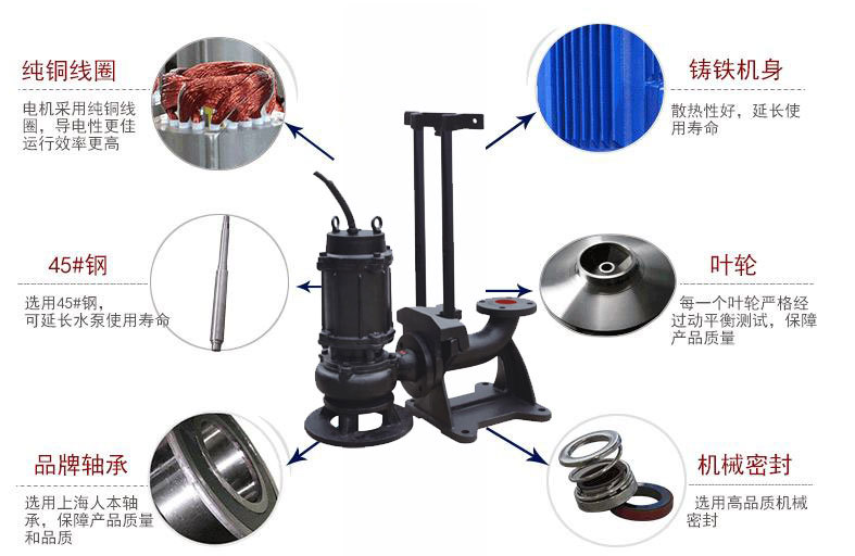 QW無堵塞好色网站在线观看