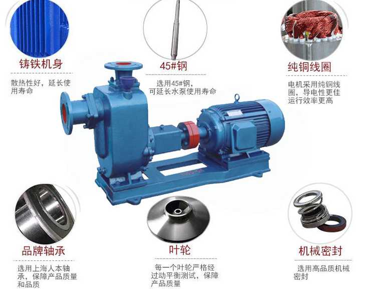 ZW自吸好色网站在线观看分解圖