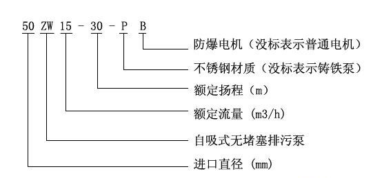 ZWB防爆自吸式無堵塞好色网站在线观看型號意義